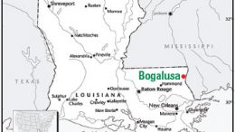International Paper Bogalusa